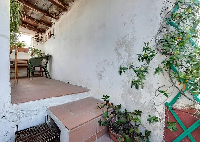 Apartment Pepi With Terrace