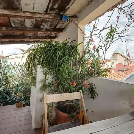Apartment Pepi With Terrace *