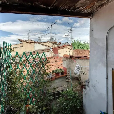 Pepi With Terrace