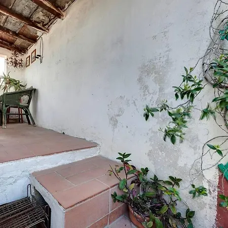 Apartment Pepi With Terrace
