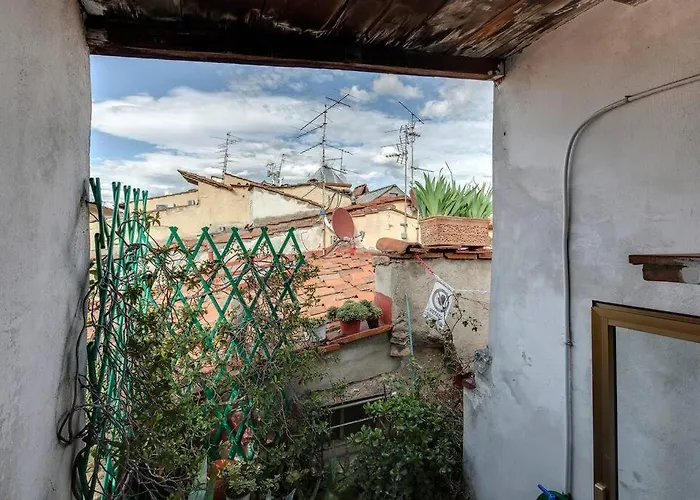 Pepi With Terrace